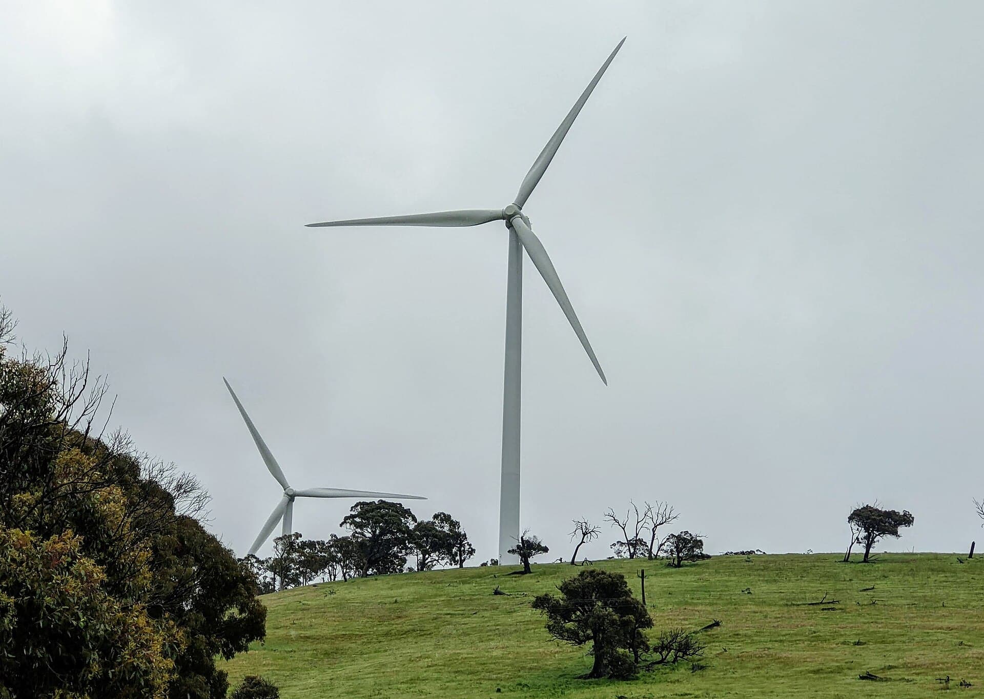 Wind turbines at Cullerin Range Wind Farm in New South Wales