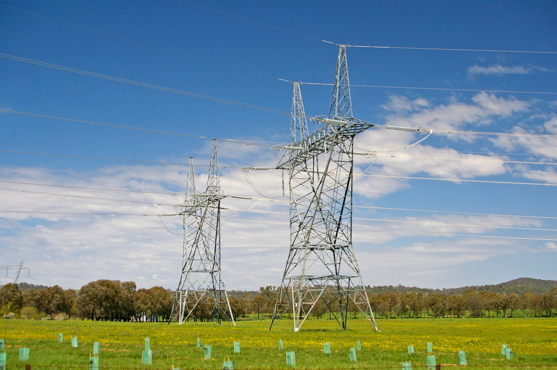 Electricity pylons running across a rural paddock