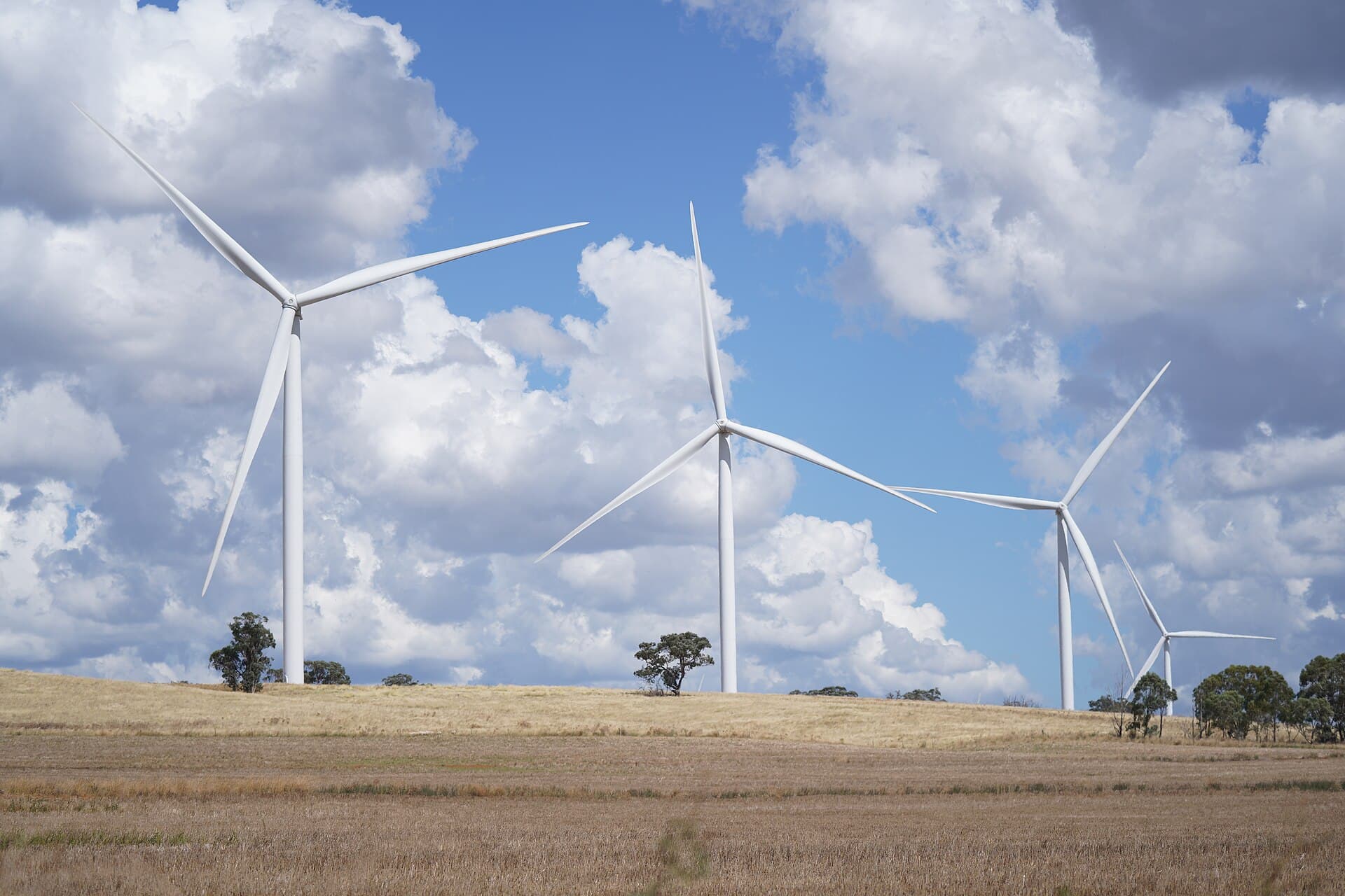 Wind turbines at Bodangora Wind Farm in central western New South Wales, photographed in February 2022.