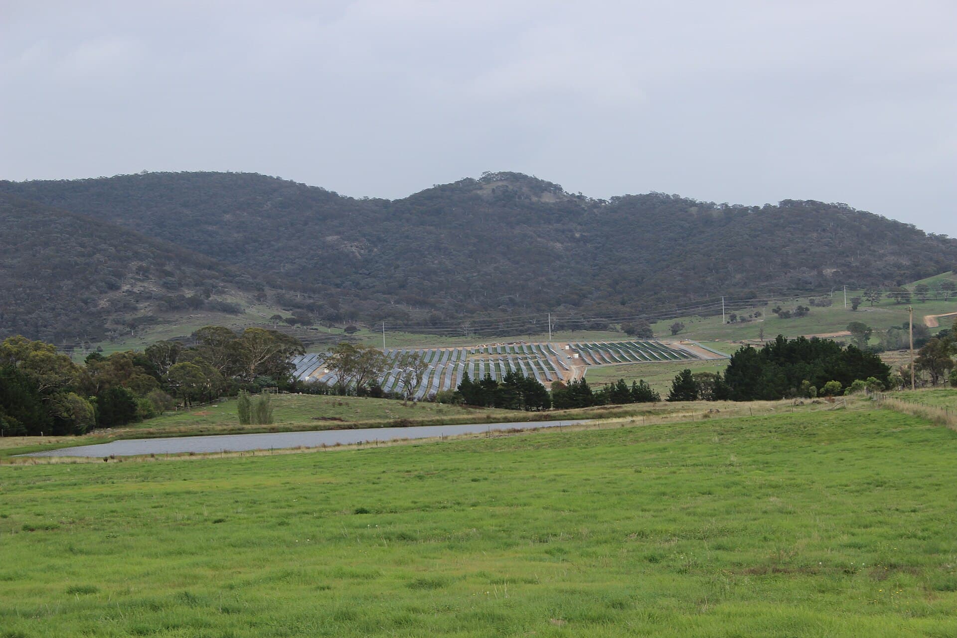 Rows of photovoltaic panels at Royalla Solar Farm in the Australian Capital Territory